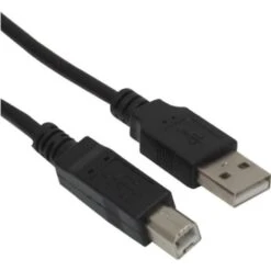 Ativa® Usb Device Cable, 6', Black